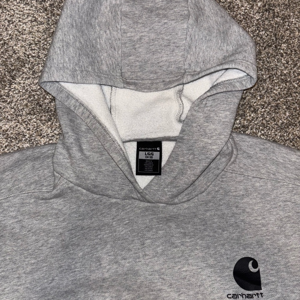 Carhartt Light Gray Men's Hoodie